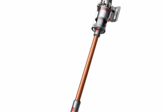 dyson v10 profil